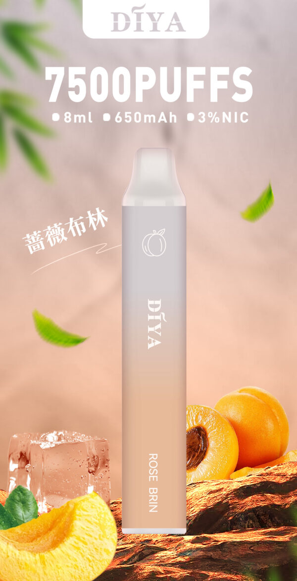 66.jpg 新品上市【叮啞抛棄式7500口】可充電 💖薔薇布林口味✨台灣獨家登場🔥 CP值最高 零故障 限時活動 {滿十送一}